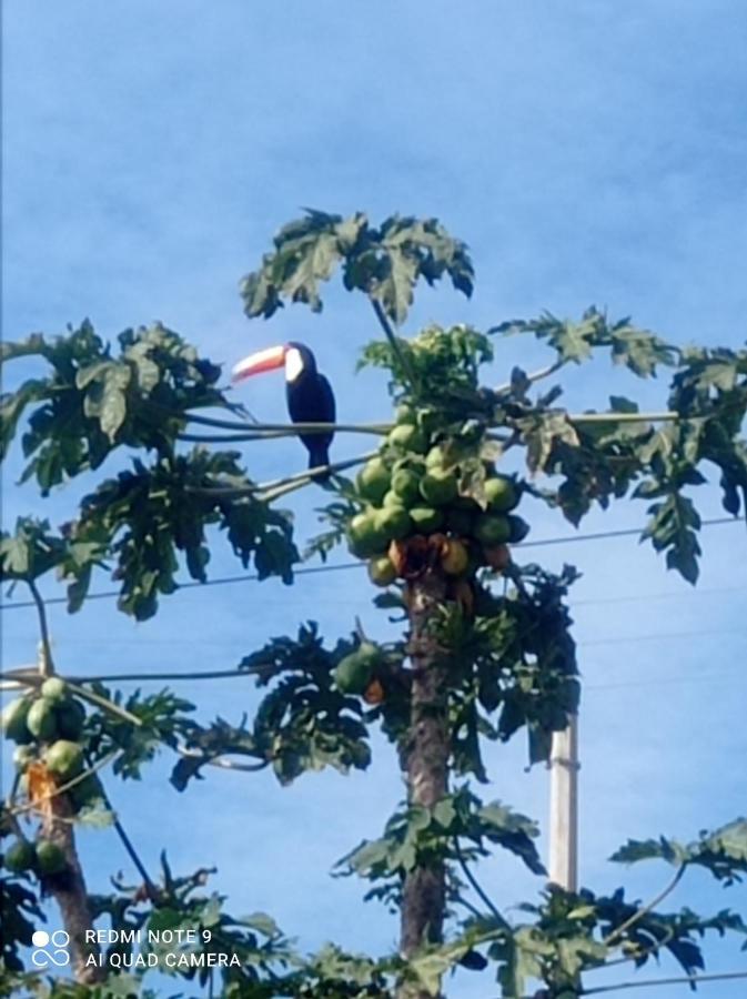 Chacara Recanto Das Pedras Para 8 Pessoas Serra Negra  Exterior photo